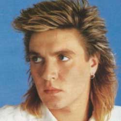New Wave Mullet